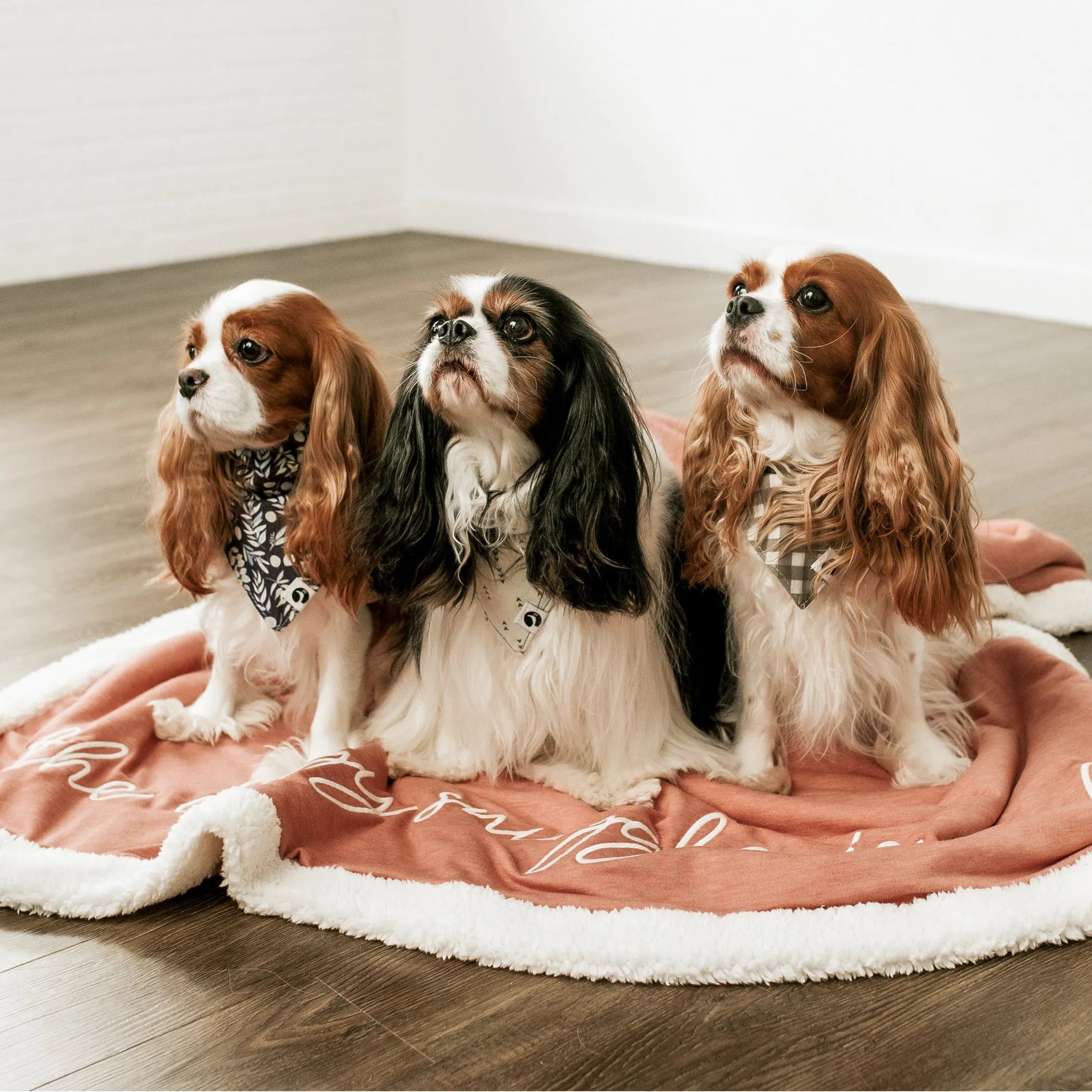 Ultra-Soft Fleece Pet Blanket- Rosewood