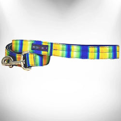 Walk-e-Woo Dog Leash
