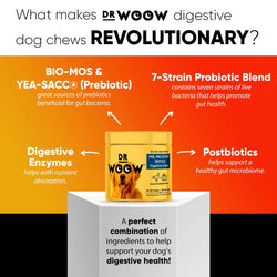 Dr. Woow Skin & Coat Soft Chews