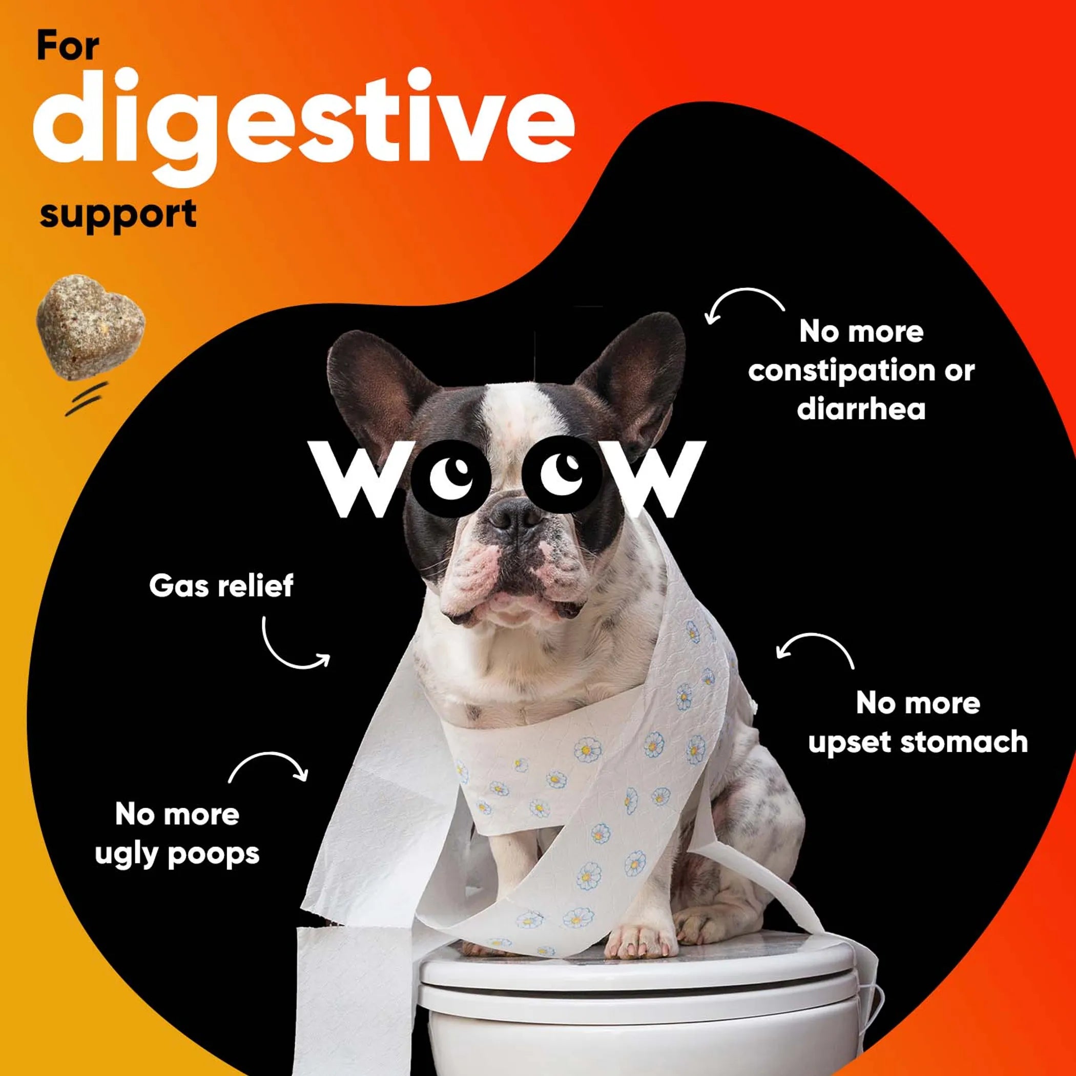 Dr. Woow Skin & Coat Soft Chews