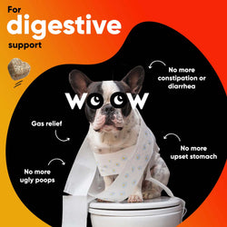 Dr. Woow Skin & Coat Soft Chews