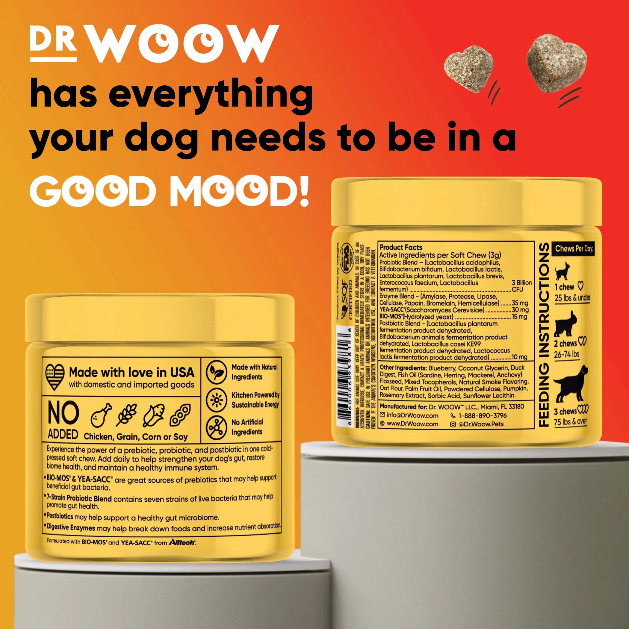 Dr. Woow Skin & Coat Soft Chews