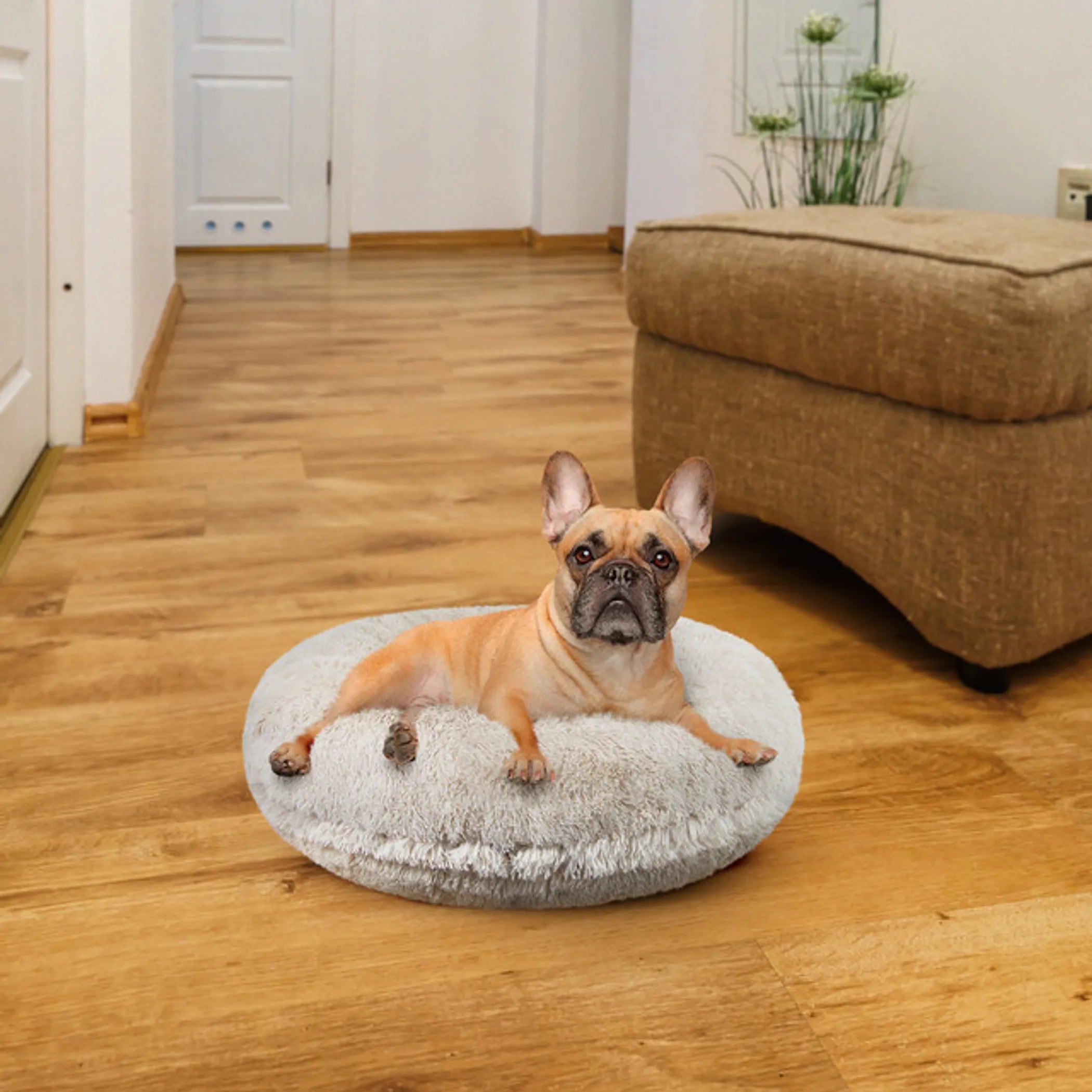 The Real Soft Stuff: Signature Bagel Bed Collection