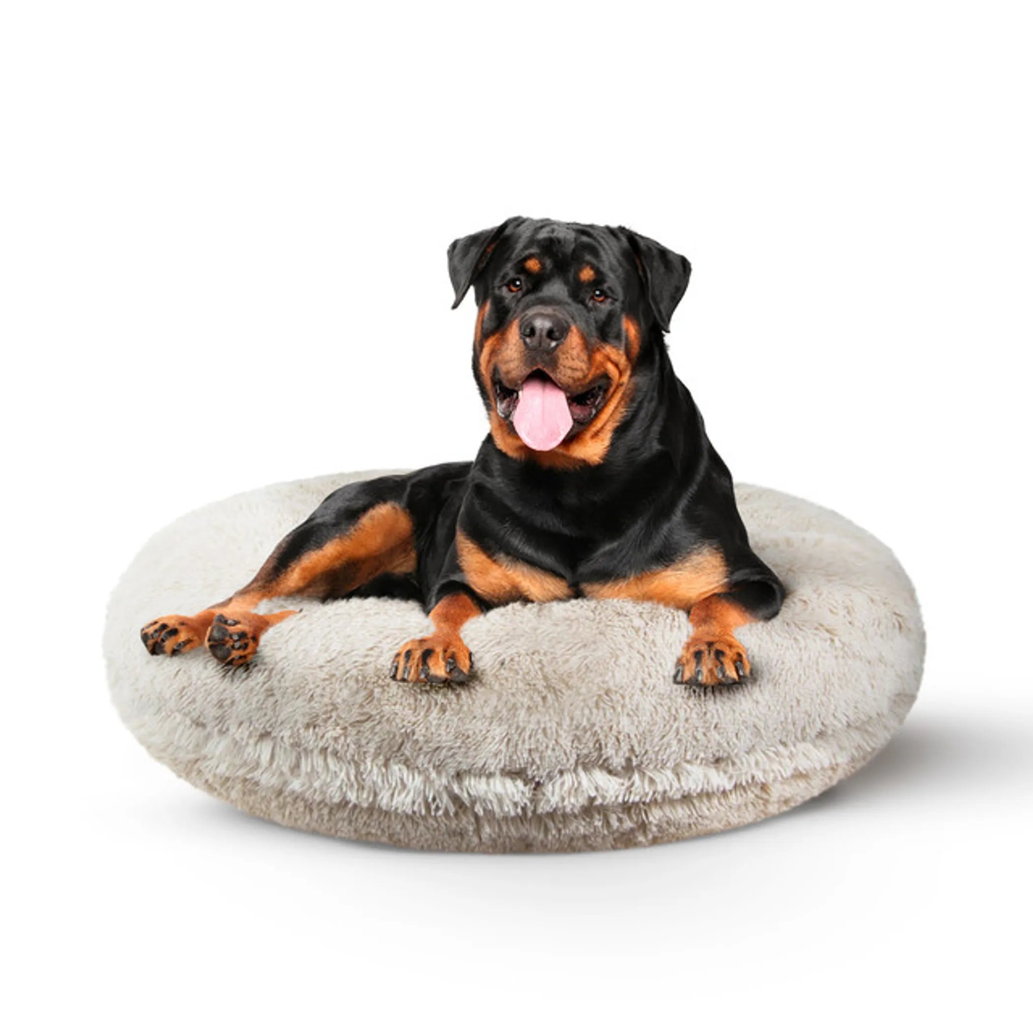 The Real Soft Stuff: Signature Bagel Bed Collection