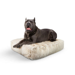 Bessie and Barnie Rectangular Bed SM - Frosted Willow