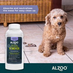 ALZOO Accident Remover Lavender - 15.99oz