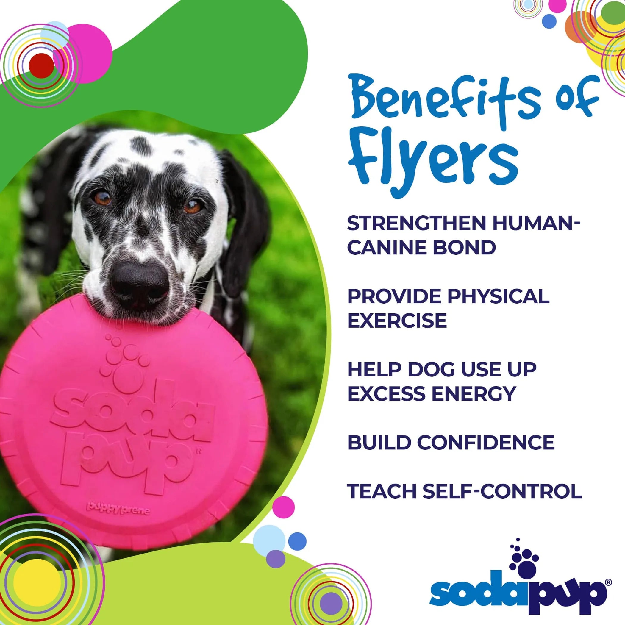 SodaPupBottle Top Puppy Flyer – Catch Flights, Not Feelings