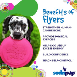 SodaPupBottle Top Puppy Flyer – Catch Flights, Not Feelings