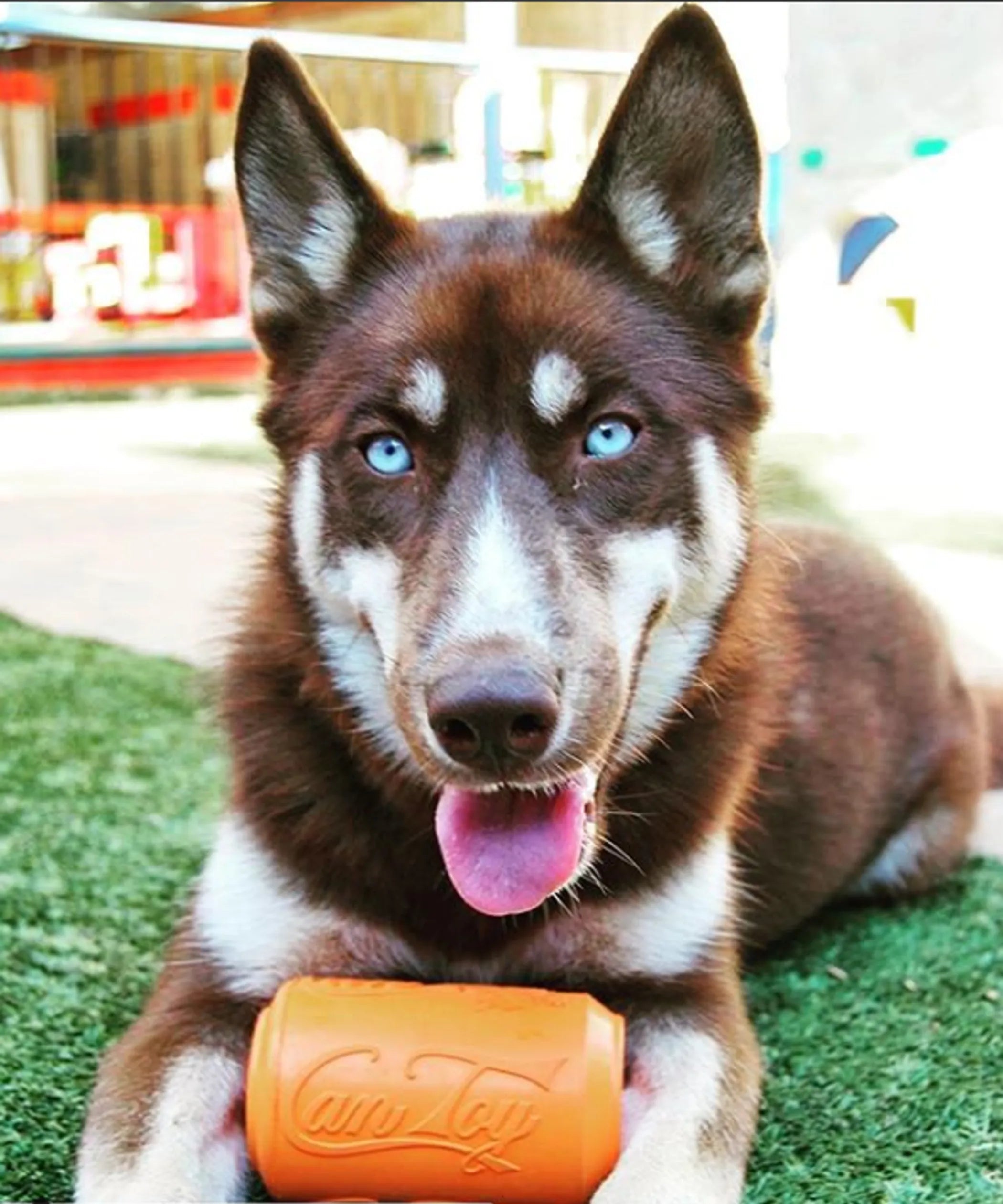 SodaPup Can Toy Durable Rubber Chew Toy
