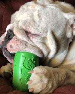 SodaPup Can Toy Durable Rubber Chew Toy