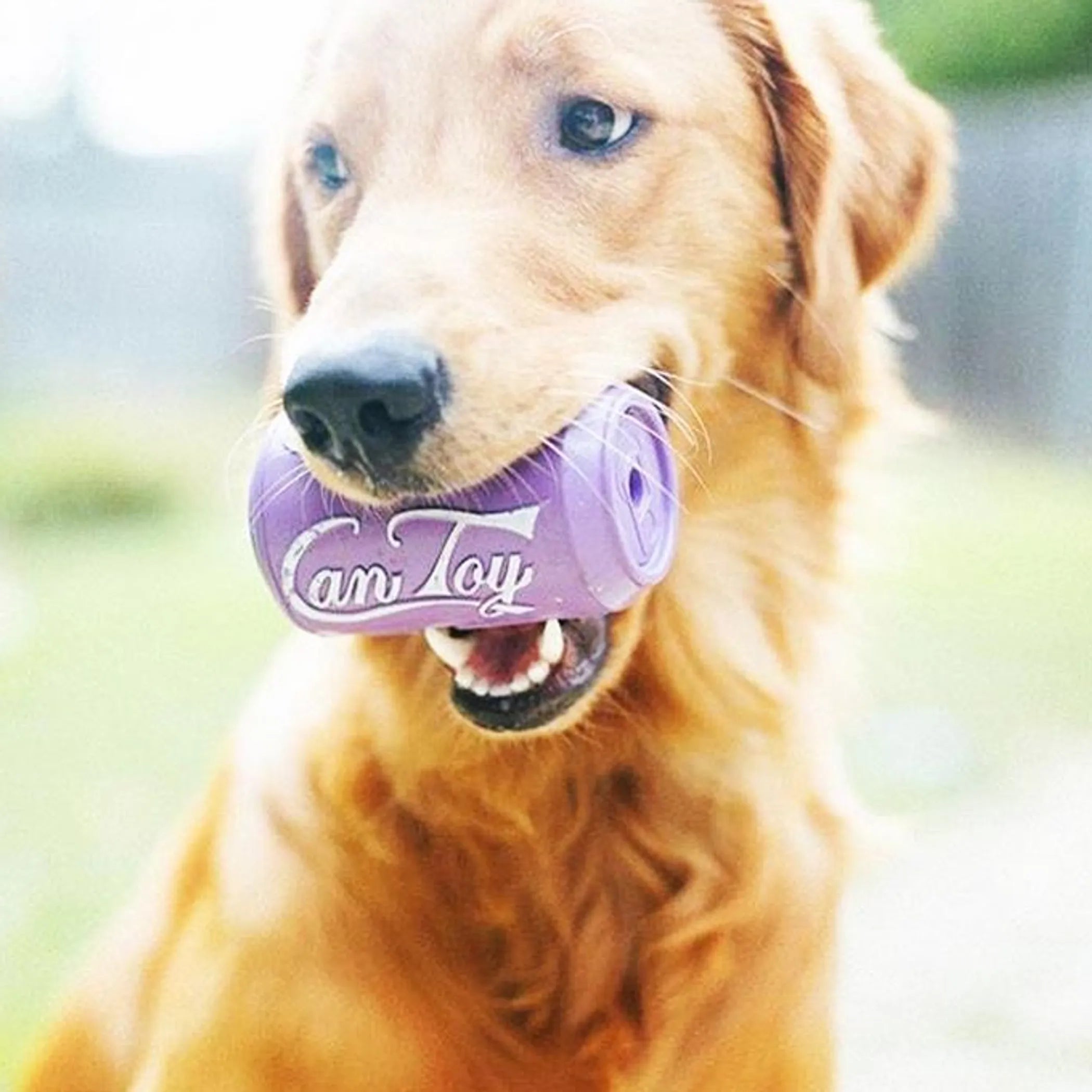 SodaPup Can Toy Durable Rubber Chew Toy