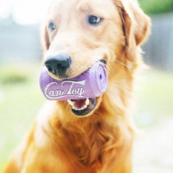SodaPup Can Toy Durable Rubber Chew Toy