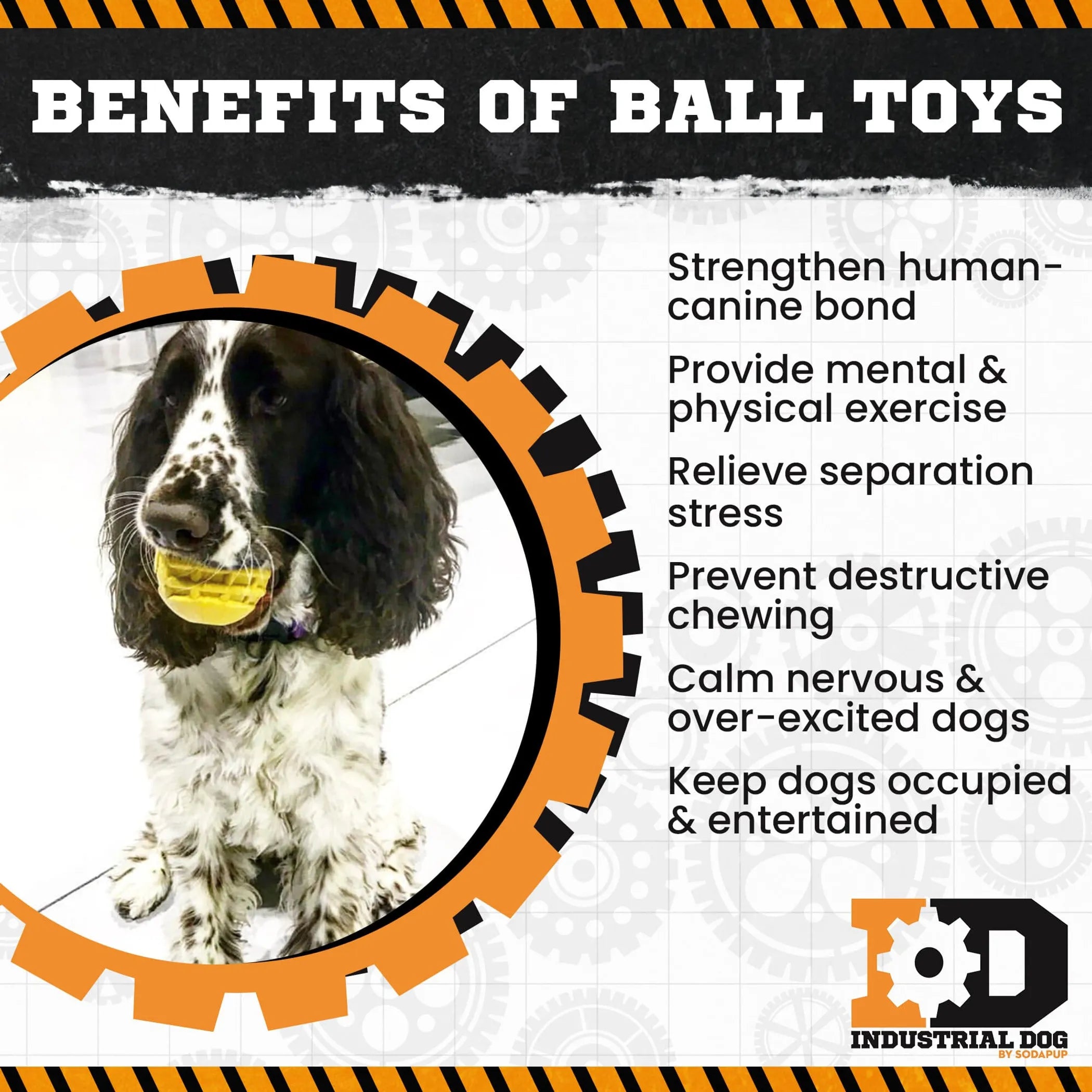 Chew Hard, Fetch Harder: SodaPup Gear Ball