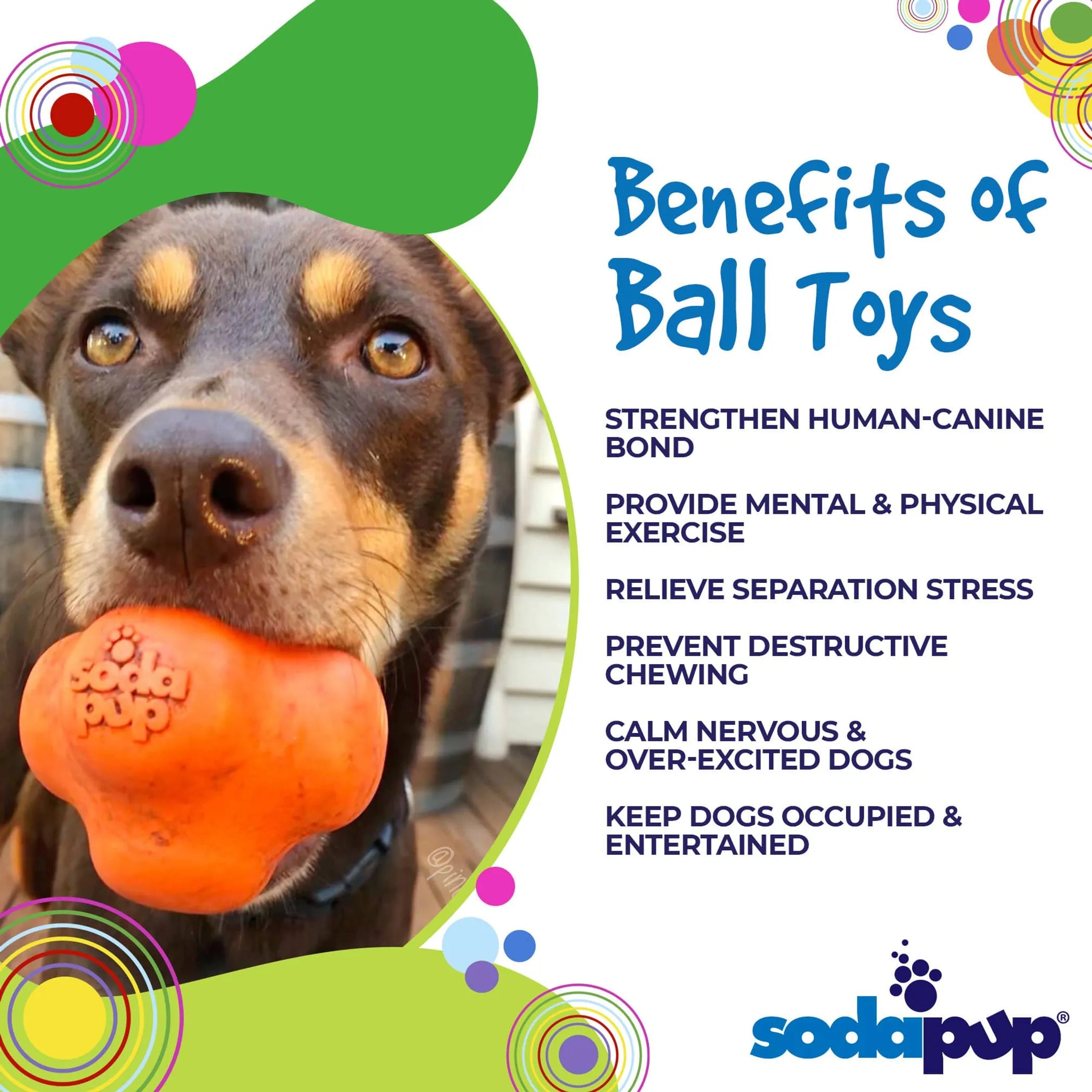 SodaPup Crazy Bounce Ultra Durable Rubber Chew & Retrieving Toy