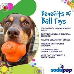 SodaPup Crazy Bounce Ultra Durable Rubber Chew & Retrieving Toy