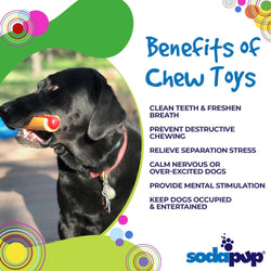 SodaPup Hot Dog Ultra Durable Nylon Dog Chew Toy for Aggressive Chewers