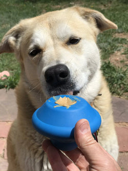 SodaPup Flying Saucer Durable Rubber Chew Toy & Treat Dispenser
