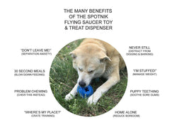 SodaPup Flying Saucer Durable Rubber Chew Toy & Treat Dispenser