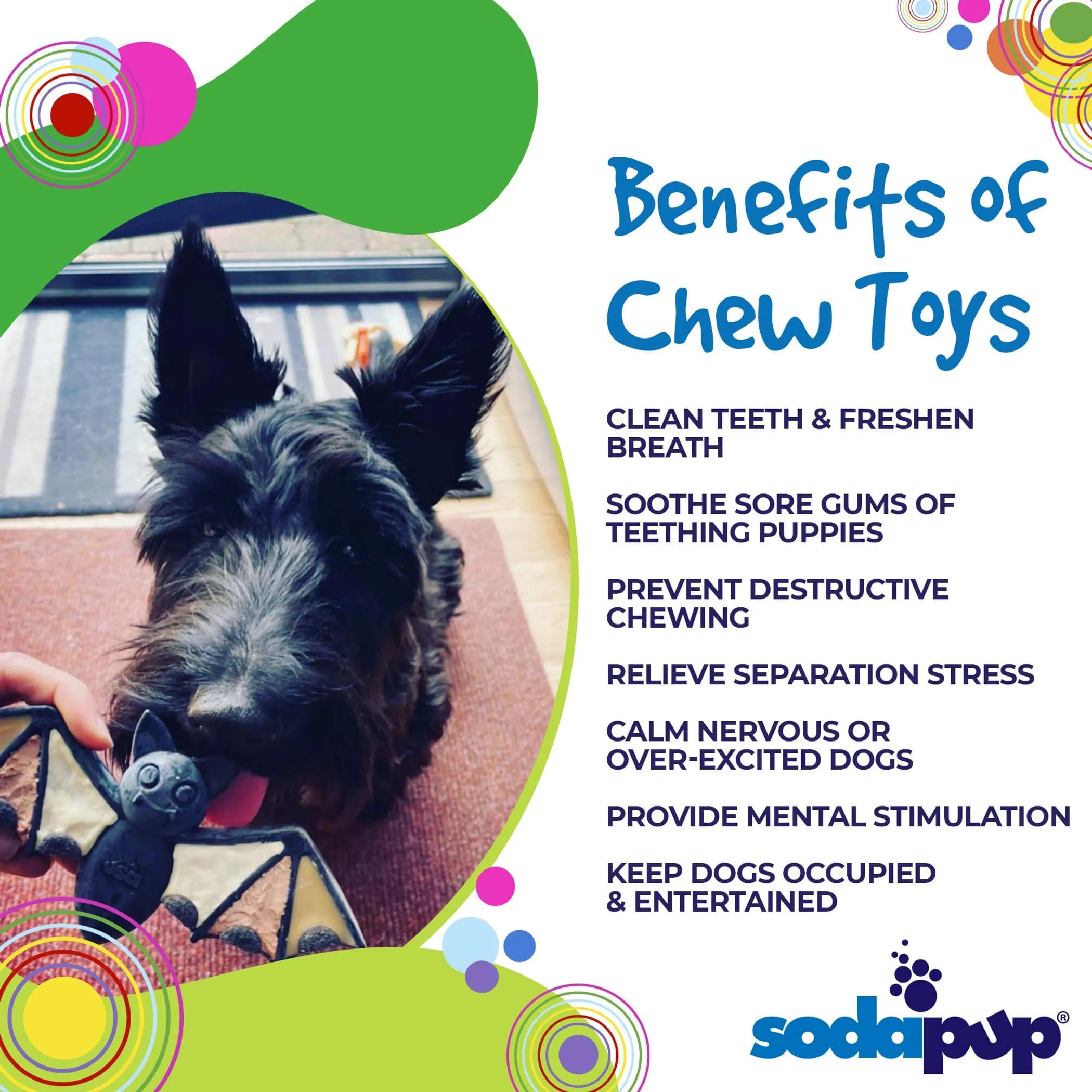 Bite Me: Vampire Bat Chew Toy by SodaPup