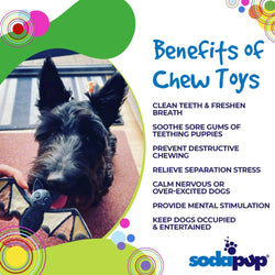 Bite Me: Vampire Bat Chew Toy by SodaPup