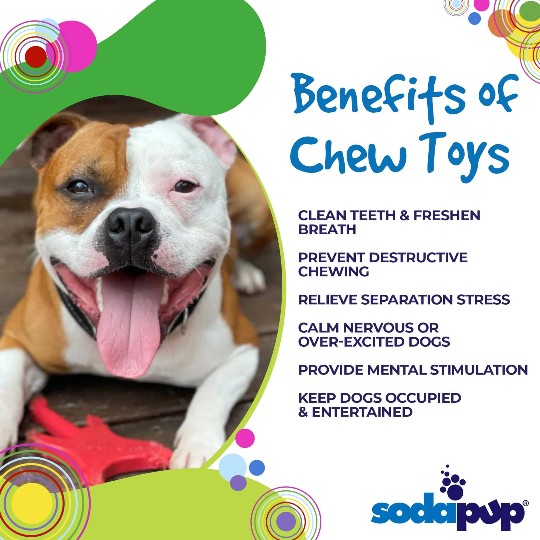 SodaPup Electric Guitar Ultra Durable Nylon Dog Chew Toy