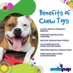 SodaPup Electric Guitar Ultra Durable Nylon Dog Chew Toy