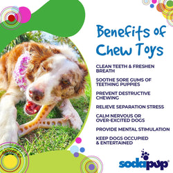 Wish Granted: Mod Wishbone Chew Toy