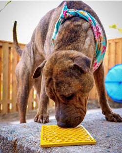 Sweet Relief: Honeycomb eMat Lick Mat