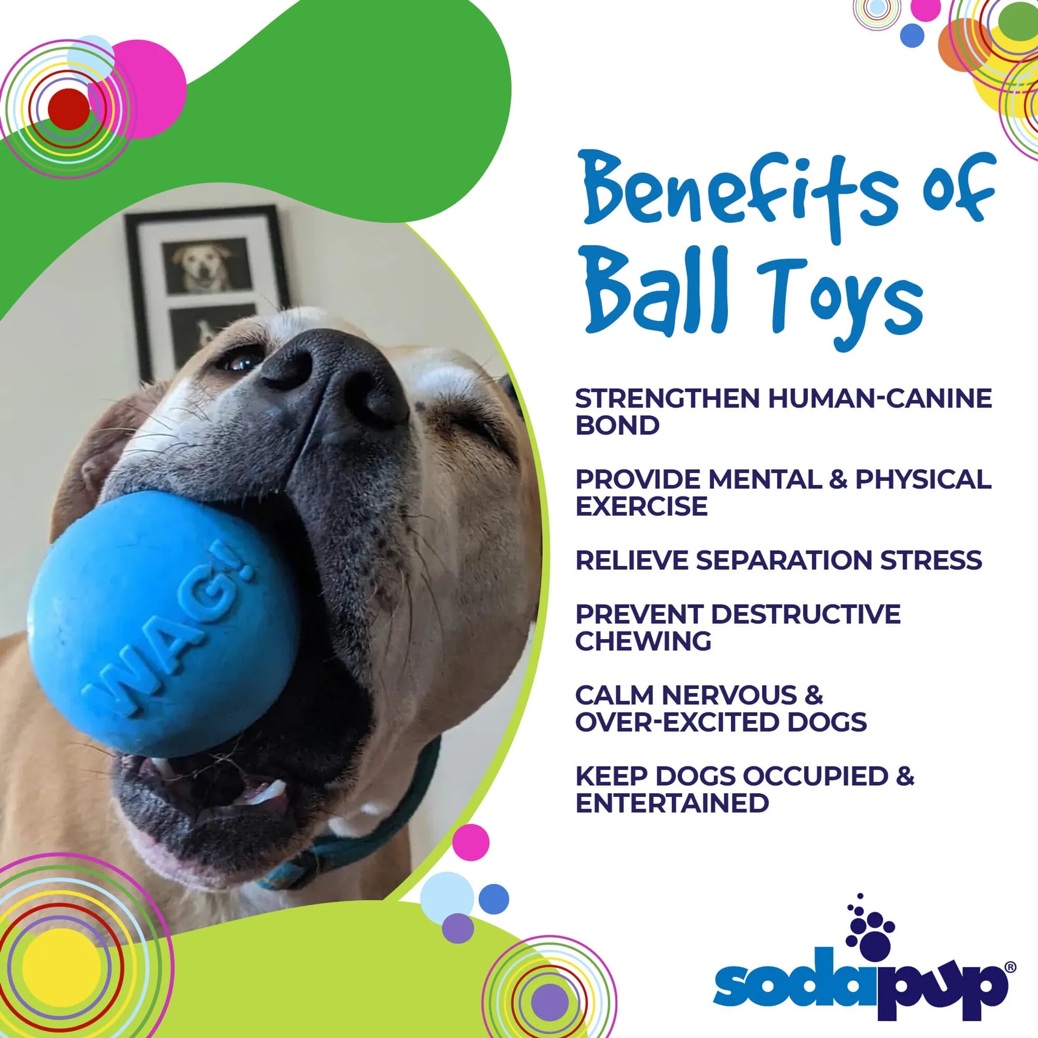 SodaPup Fetch with Attitude: Floating Rubber Ball