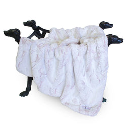 Whisper Collection by Hello Doggie