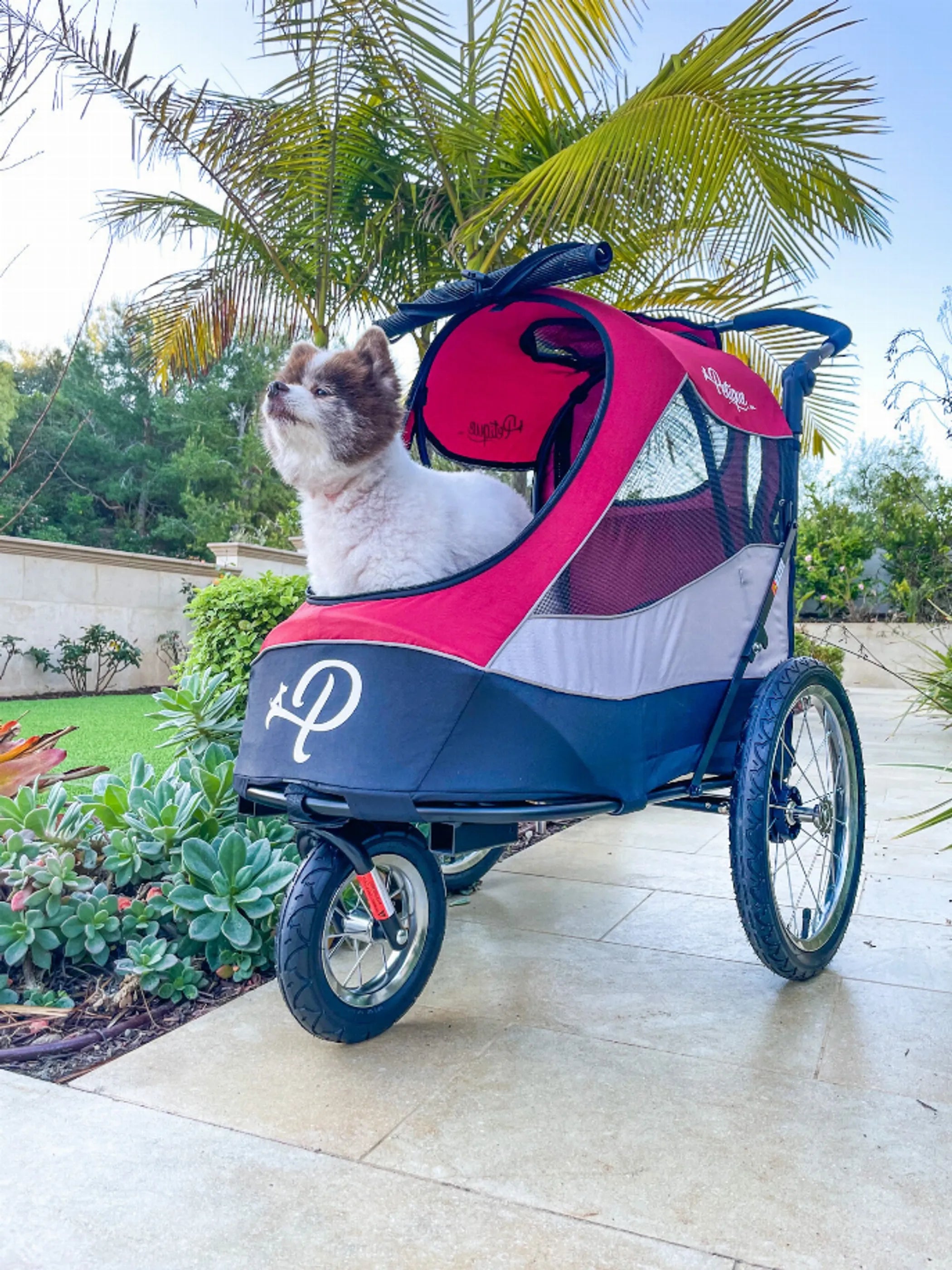 Bad To The Bone Pets