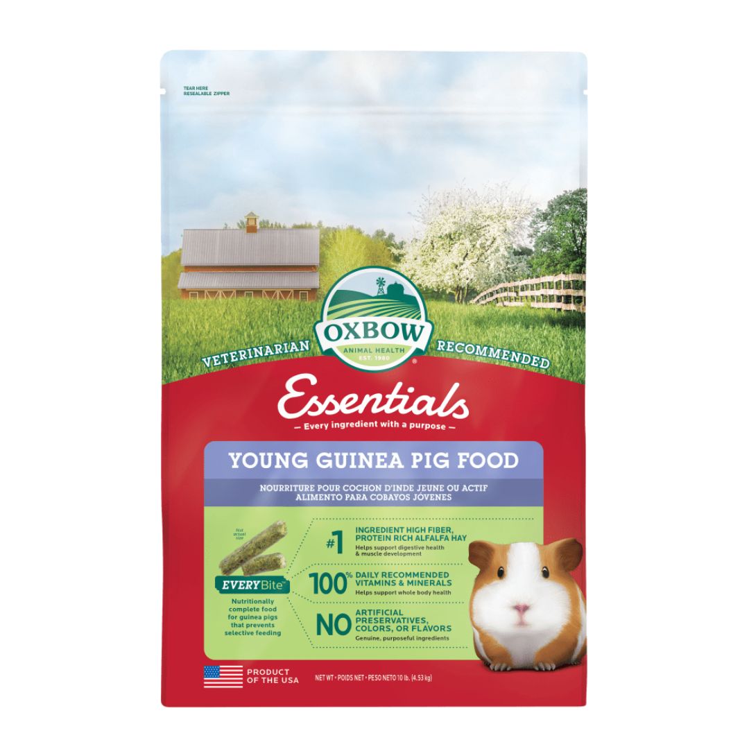 Oxbow Animal Health Essentials Young Guinea Pig Food 10 lb
