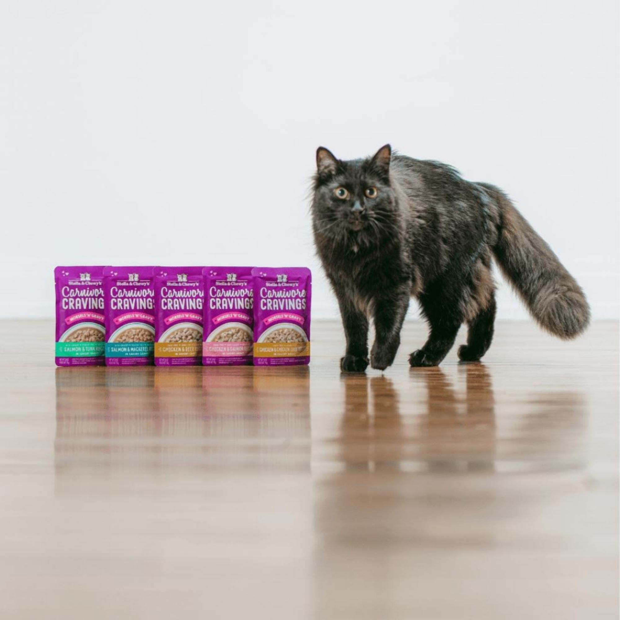 Stella and Chewys Carnivore Cravings MorselsNGravy Salmon and Tuna Recipe 2.99oz. (Case of 24)
