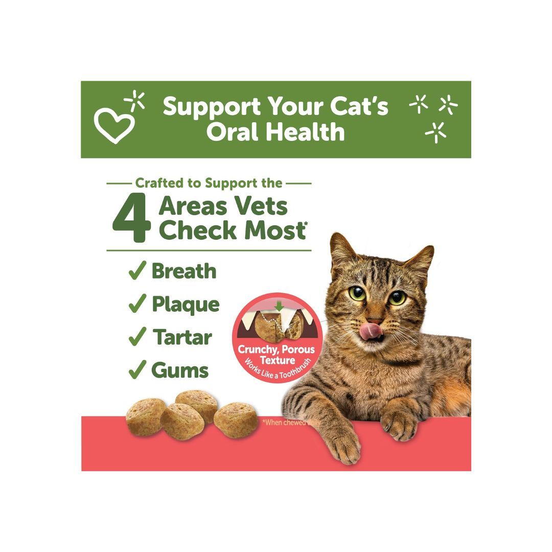 WHIMZEES Cat Dental Treats - Chicken & Salmon Flavor 2 oz: Daily Dental Care for Your Cat