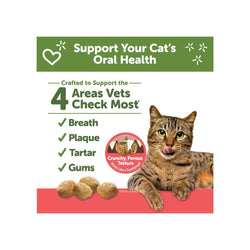 WHIMZEES Cat Dental Treats - Chicken & Salmon Flavor 2 oz: Daily Dental Care for Your Cat