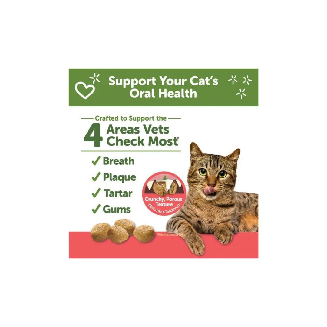 WHIMZEES Cat Dental Treats - Chicken & Salmon Flavor 4.99 oz: Daily Dental Health for Cats