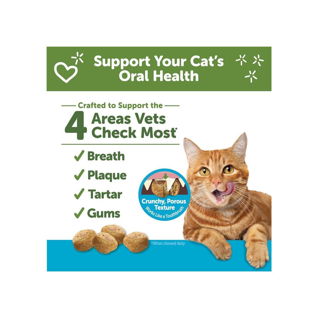 WHIMZEES Cat Dental Treats - Chicken & Tuna Flavor 2 oz: Daily Dental Health for Cats