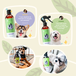 Kin+Kind Flea & Tick Lavender Protect Spray