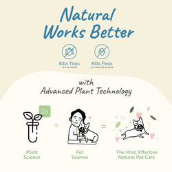 Kin+Kind Flea & Tick Lavender Shampoo