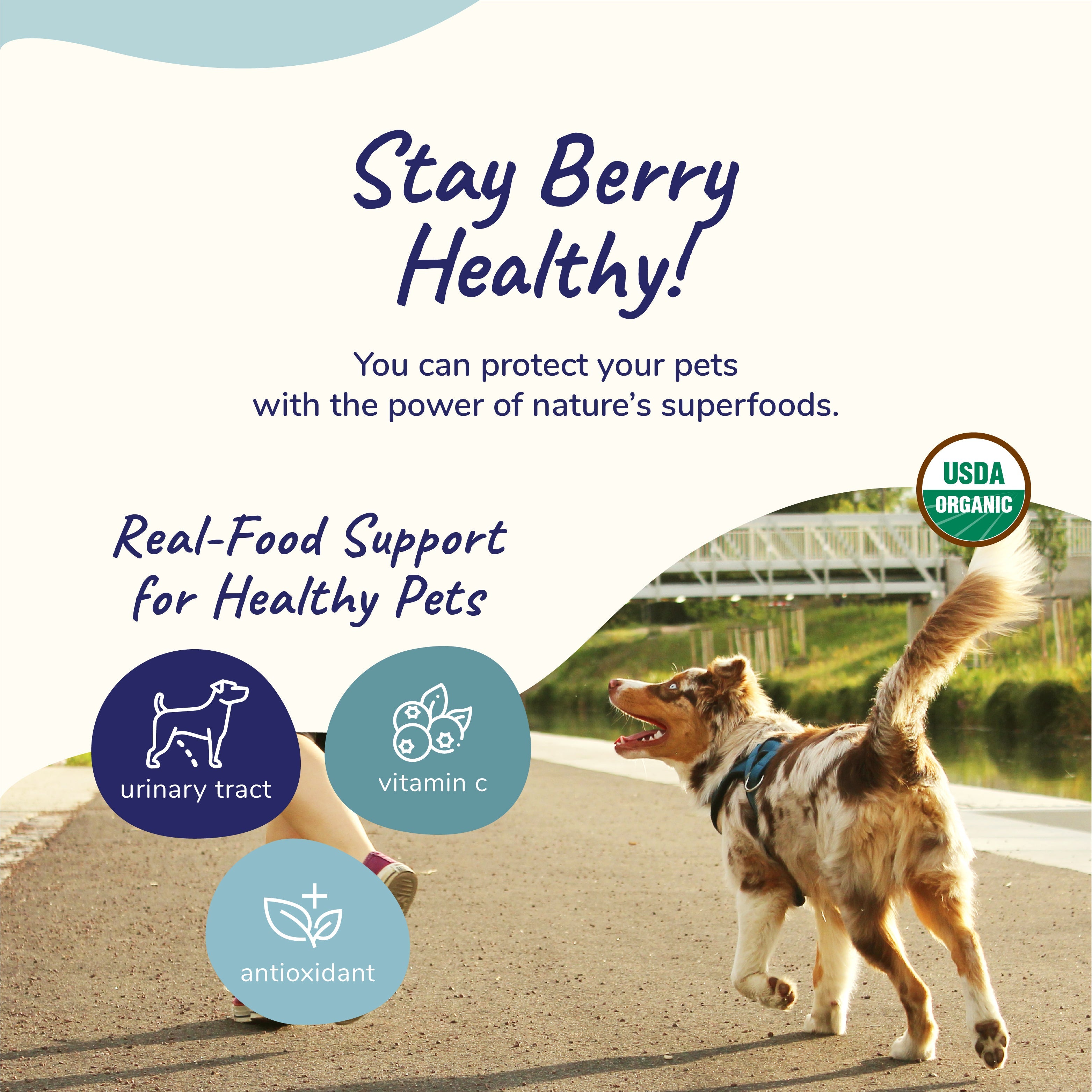 Kin+Kind Supplement Raw BerryBoost 8oz (Large) – UTI & Antioxidant Support