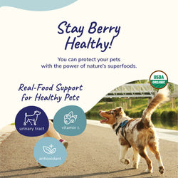 Kin+Kind Supplement Raw BerryBoost 8oz (Large) – UTI & Antioxidant Support