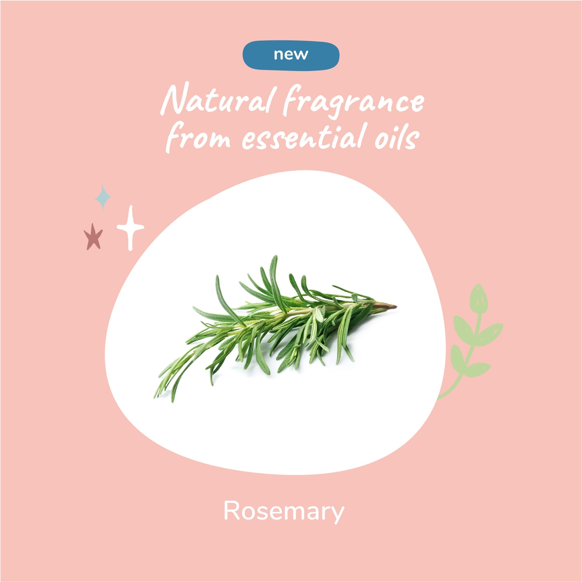 Kin+Kind Itchy Pet Shampoo - (Rosemary + Peppermint)