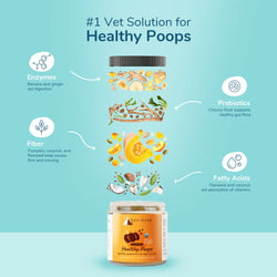Kin+Kind Supplement Pumpkin Boost 8oz (Large) – Digestion