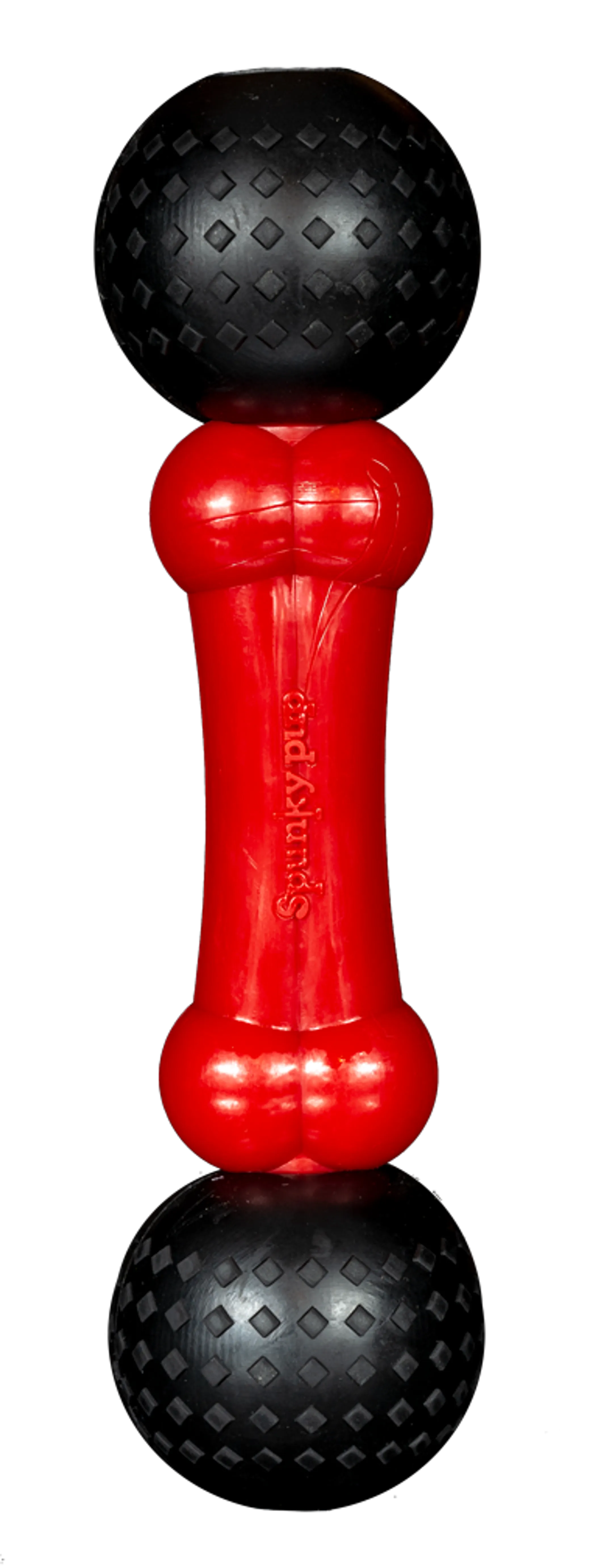 Spunky Pup Fetch & Chew Bone