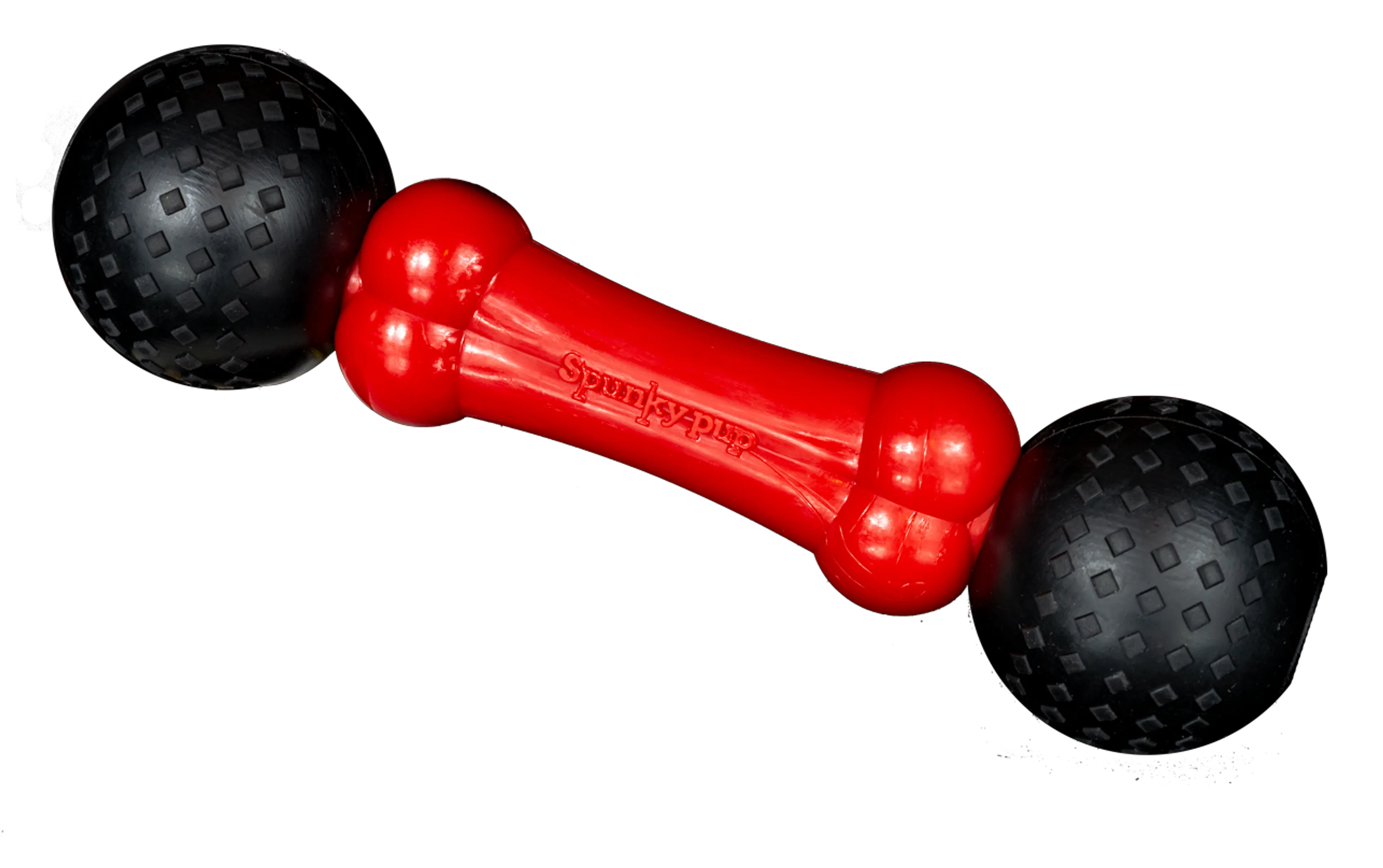 Spunky Pup Fetch & Chew Bone