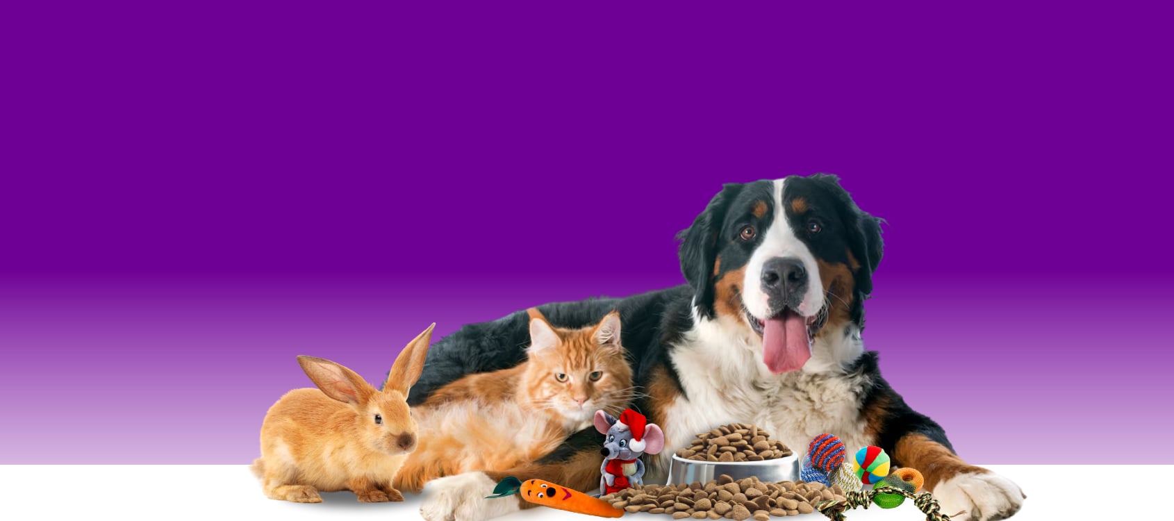 Bad To The Bone Pets